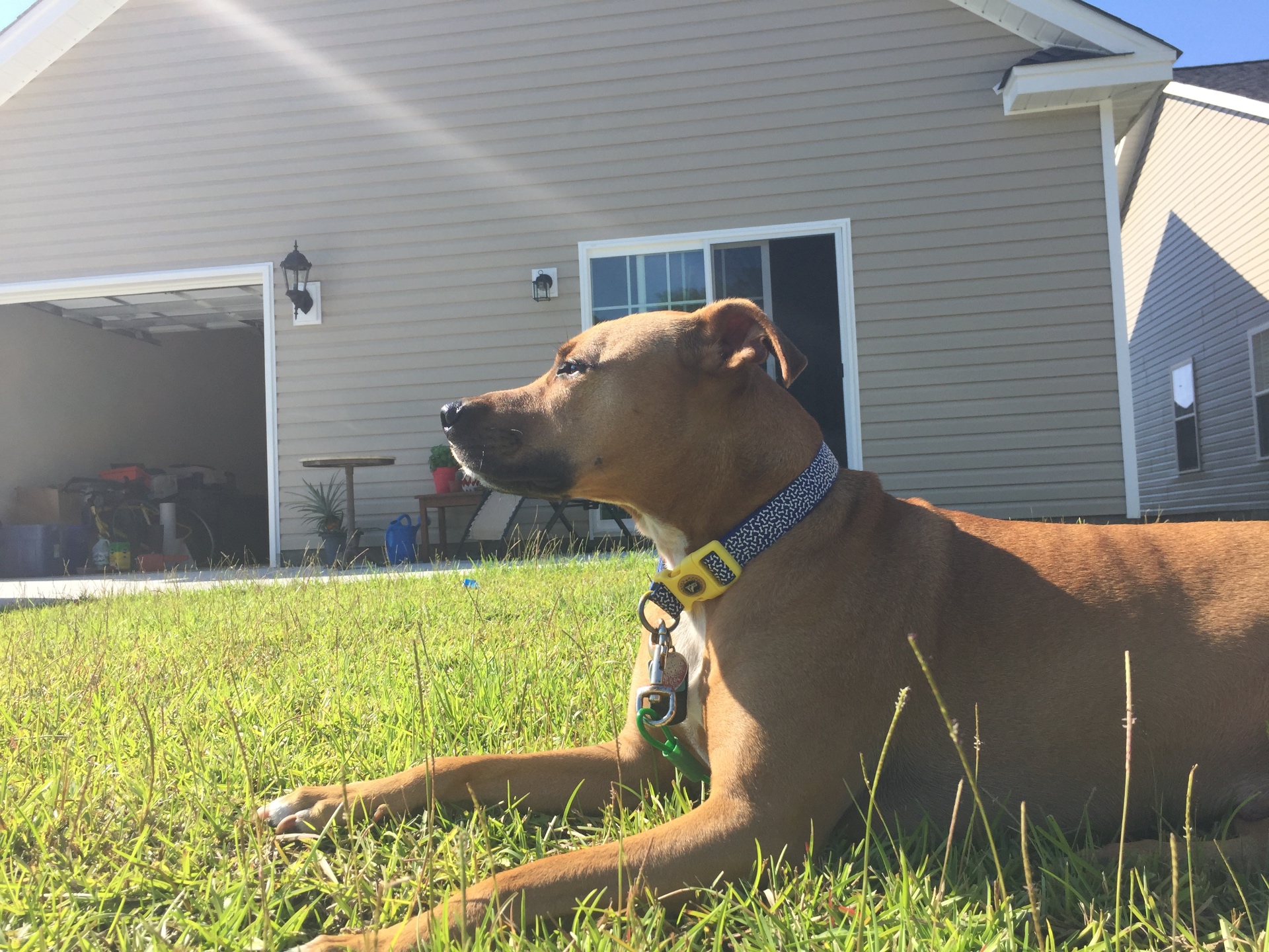 Mister Cooper
